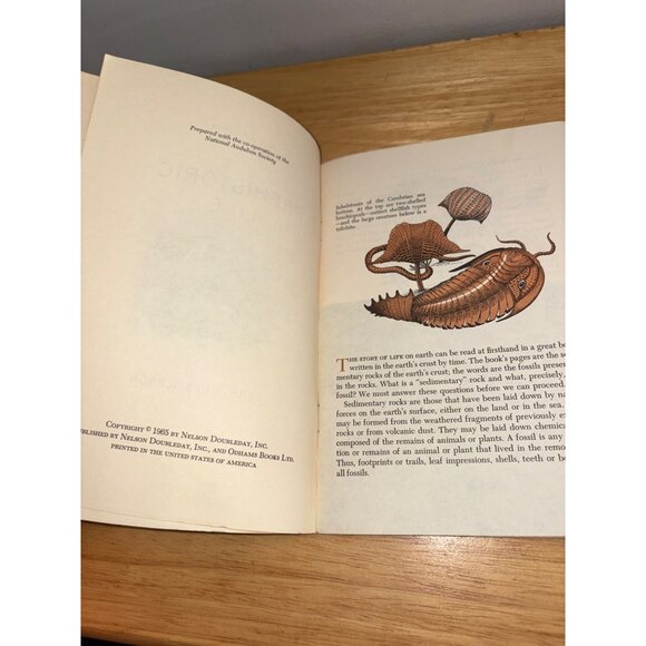 Prehistoric Life Bryan Patterson 1965 National Audubon Society Nature Program - Picture 4 of 10